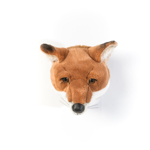 Wild & Soft - Trophy Fox Louis (5894328156313)