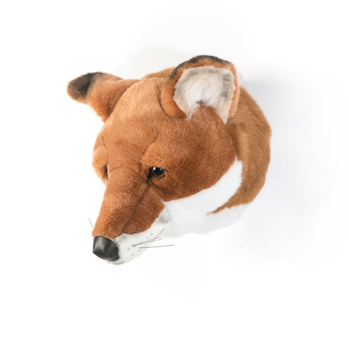 Wild & Soft - Trophy Fox Louis (5894328156313)