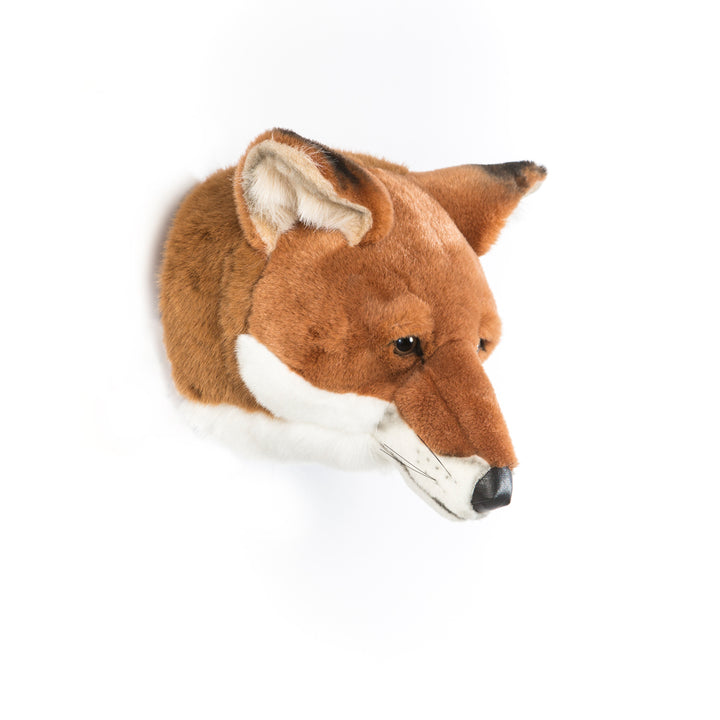 Wild & Soft - Trophy Fox Louis (5894328156313)